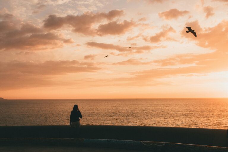 Eine Person blickt auf das Meer bei Sonnenuntergang, während Vögel am Himmel fliegen – ein Bild für Vertrauen, Frieden und Gottes treue Versorgung.