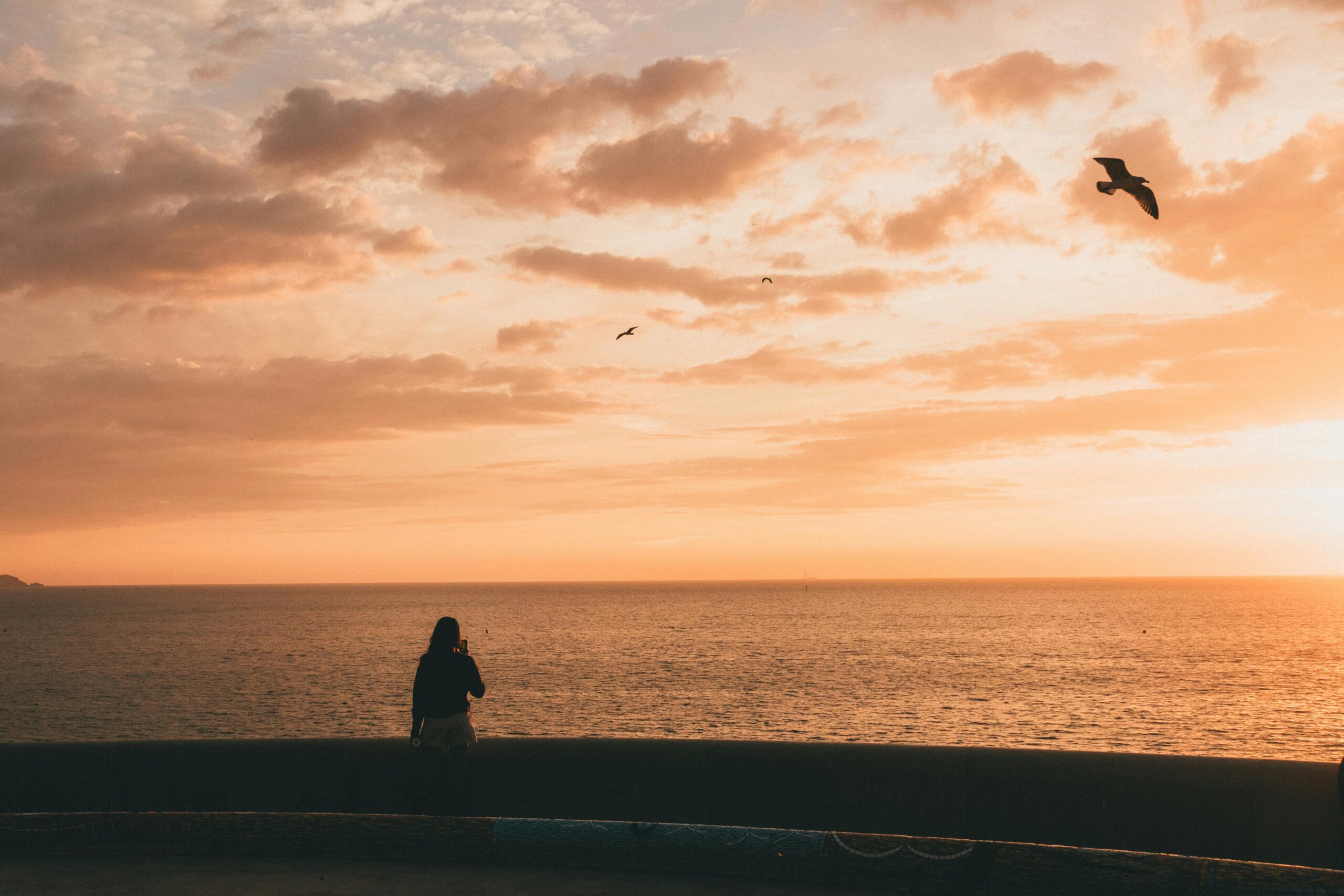 Eine Person blickt auf das Meer bei Sonnenuntergang, während Vögel am Himmel fliegen – ein Bild für Vertrauen, Frieden und Gottes treue Versorgung.
